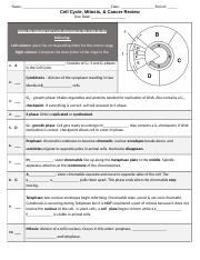 2017 OL Cell Cycle Exam review.doc - Name: Date: Period: Cell ...