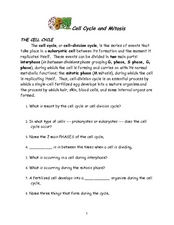 the cell cycle and mitosis worksheet