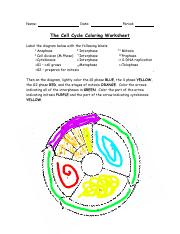 Kami Export - Cell Cycle Coloring 1 1 .pdf - Name: Date: Period ...