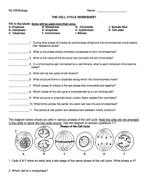 The Cell Cycle Worksheet: Complete with ease | airSlate SignNow