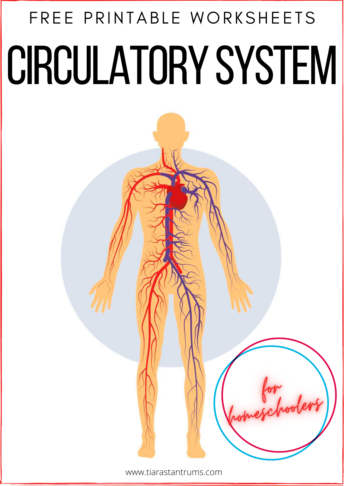 Free the circulatory system worksheet, Download Free the circulatory