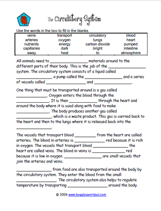 the circulatory system worksheet