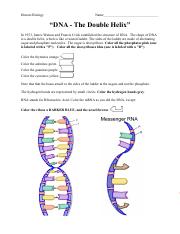 the double helix coloring worksheet