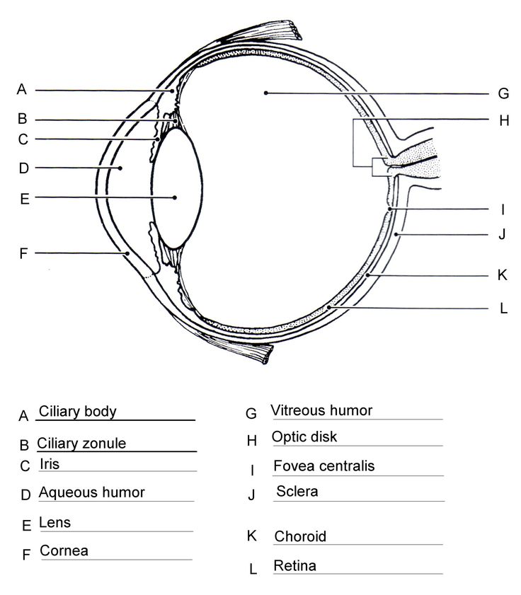 IIS 7.5 详细错误 - 404.0 - Not Found | Human eye diagram, Diagram ...
