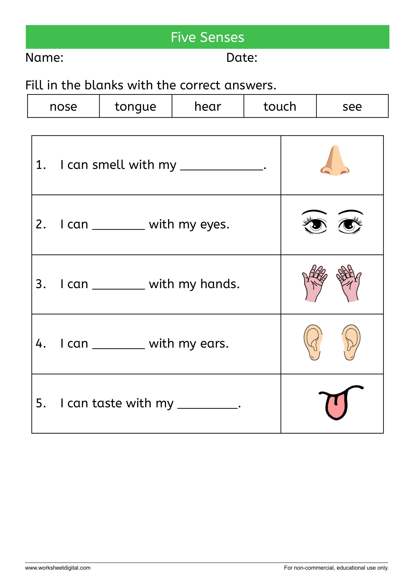 Five Senses Worksheet Digital, 42% OFF | www.micoope.com.gt