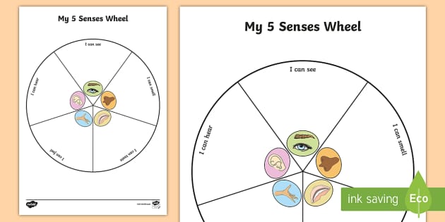 Five Senses Wheel Worksheet | Teaching Resource - Twinkl
