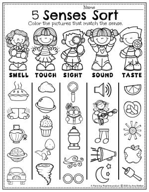 5 Senses Worksheets for Preschoolers - Planning Playtime