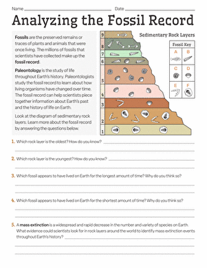 the fossil record worksheet answers
