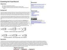 the fossil record worksheet answers