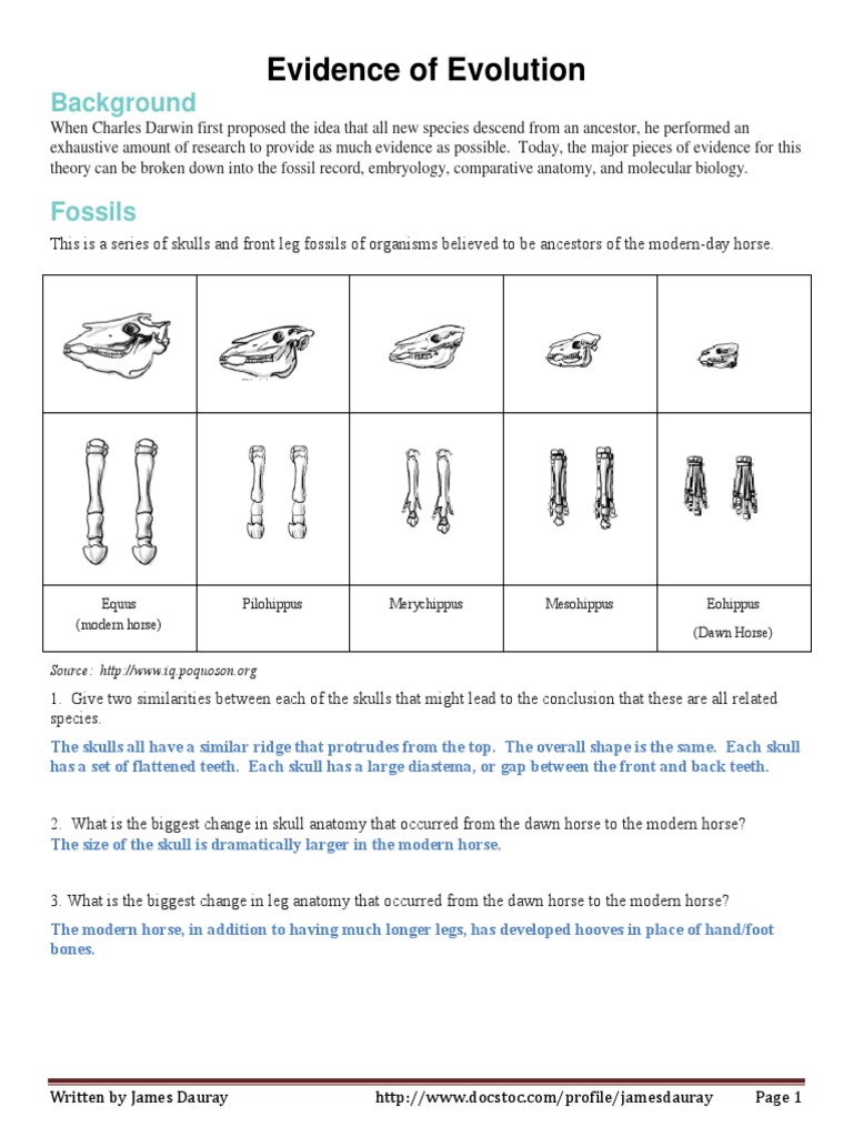 the fossil record worksheet answers