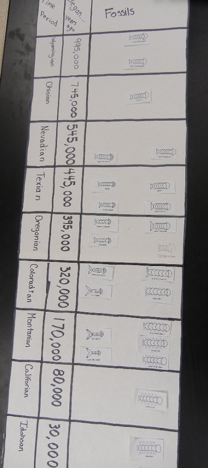 the fossil record worksheet answers
