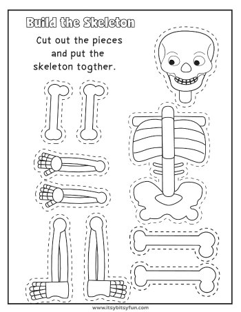 Human Body Worksheets - Itsy Bitsy Fun