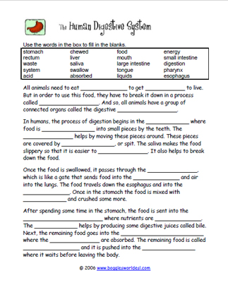 Digestive System Cloze Worksheet
