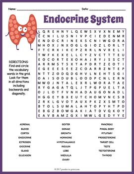 HUMAN ENDOCRINE SYSTEM Word Search Puzzle Worksheet - Anatomy ...