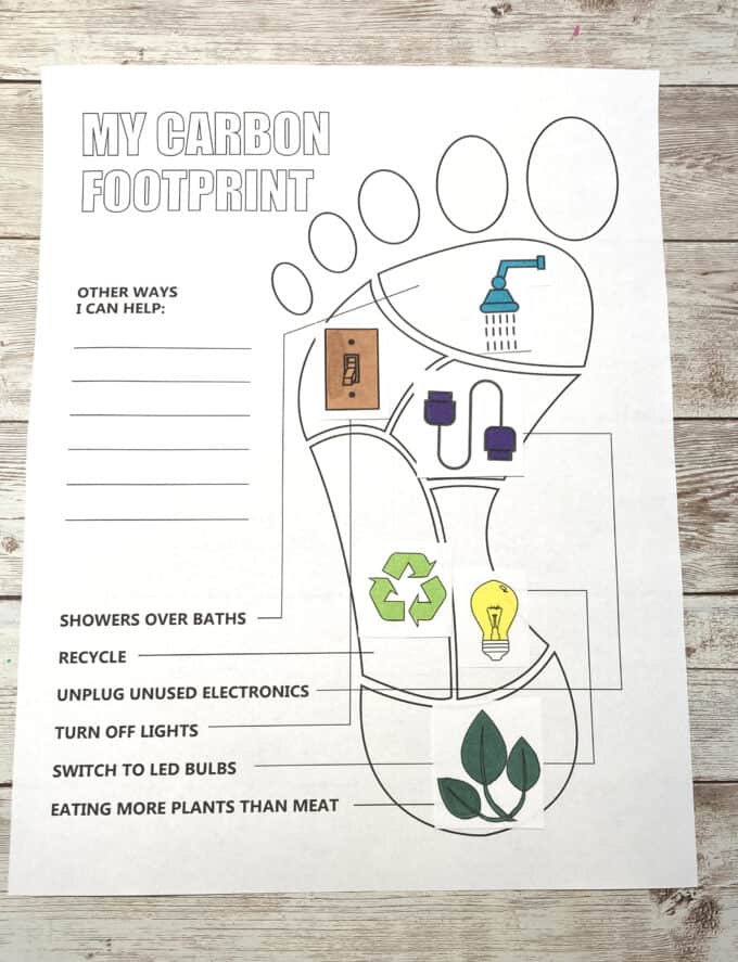 the human footprint worksheet