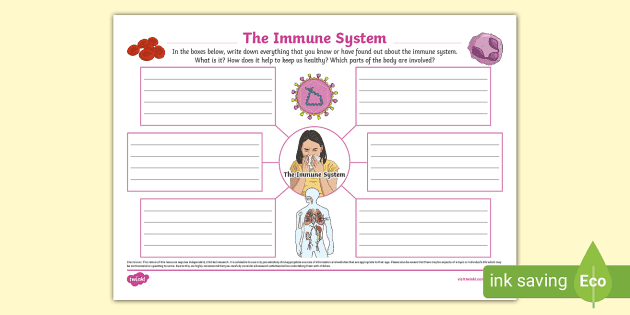 The Immune System Mind Map (teacher made) - Twinkl