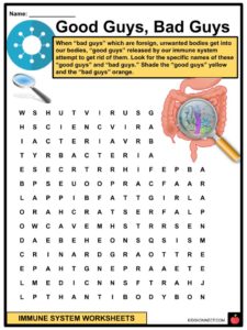 Immune System Facts, Worksheets &  Parts For Kids