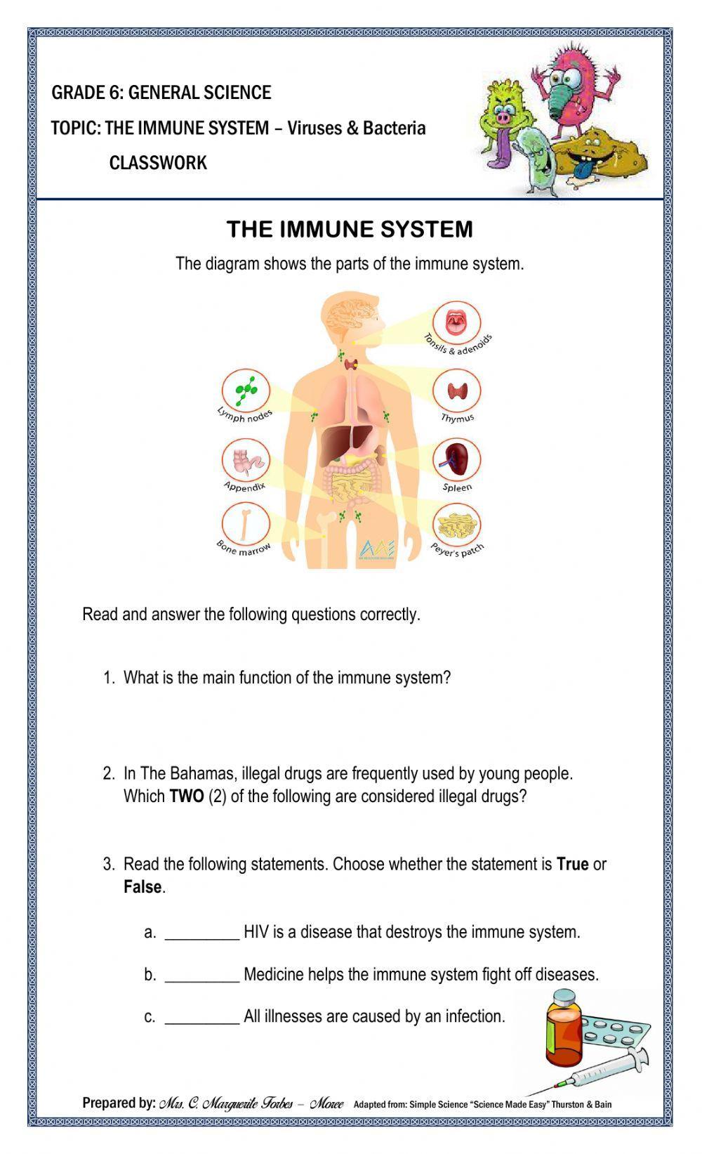 The Immune System Classwork worksheet  