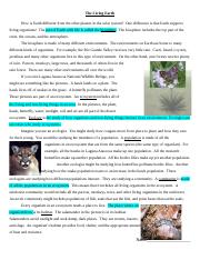 the living earth worksheet
