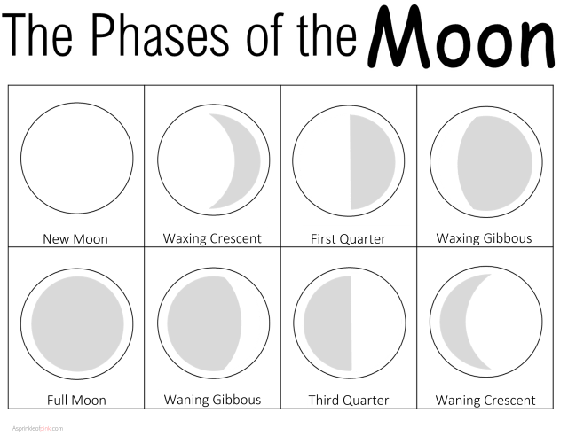 OREO Moon Activity - Free Printable! -