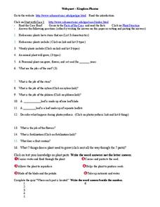 Plantae Kingdom Lesson Plans &  Worksheets Reviewed by Teachers