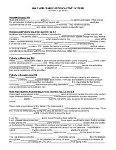 Male and Female Reproductive Systems Worksheet for 9th - Higher Ed ...