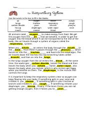 the respiratory system worksheet fill in the blanks answers