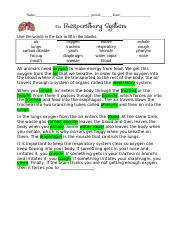 the respiratory system worksheet fill in the blanks answers