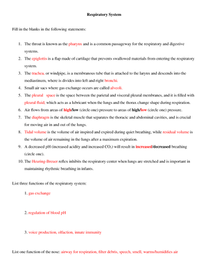 the respiratory system worksheet fill in the blanks answers