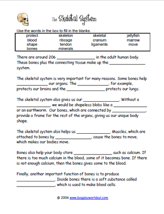the skeletal system worksheet