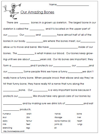 All About Bones Worksheet Worksheets