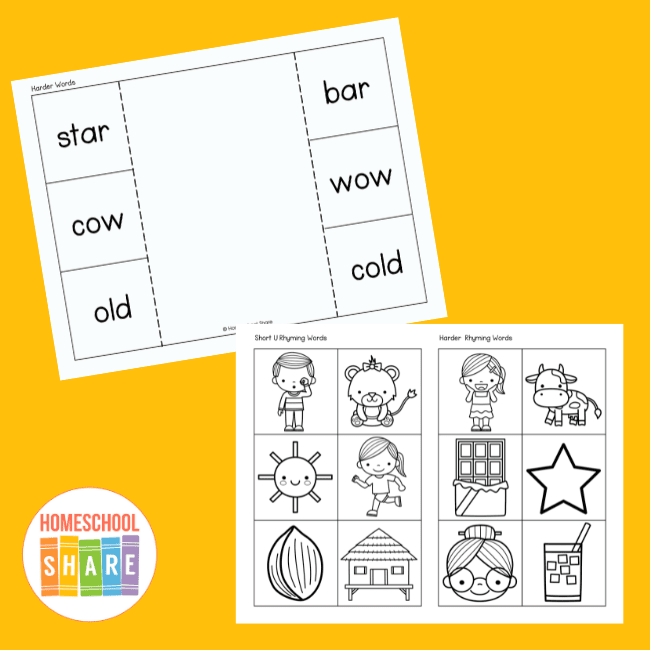 the sneetches worksheet