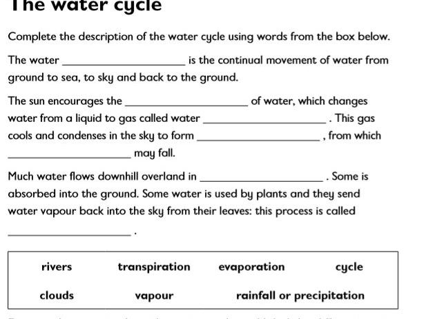 Year 4: The Water Cycle worksheet  