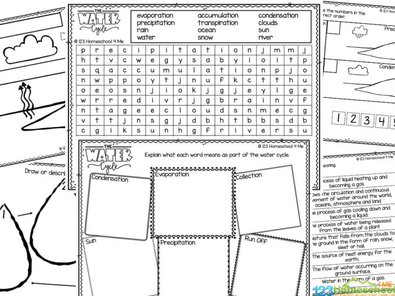 the water cycle worksheet pdf