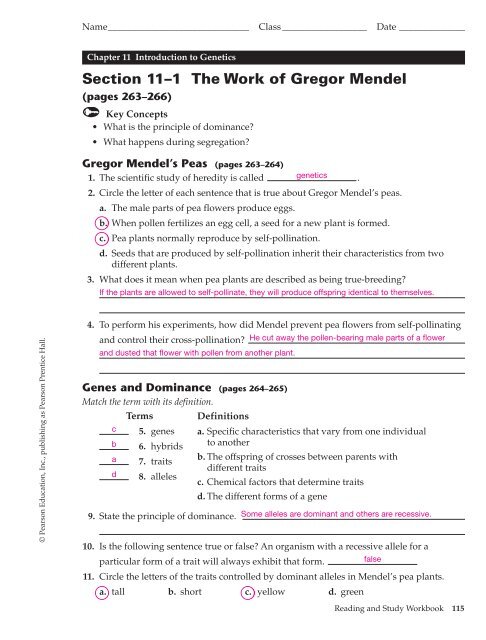 the work of gregor mendel worksheet answers