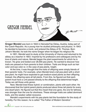 the work of gregor mendel worksheet answers