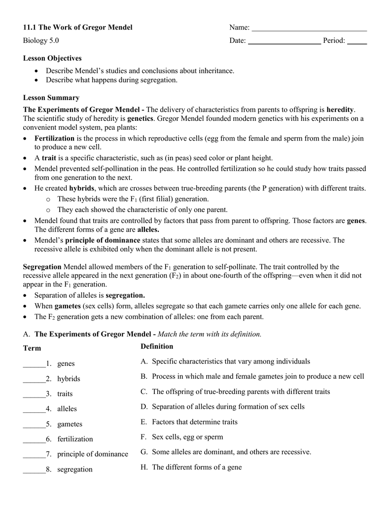 the work of gregor mendel worksheet answers