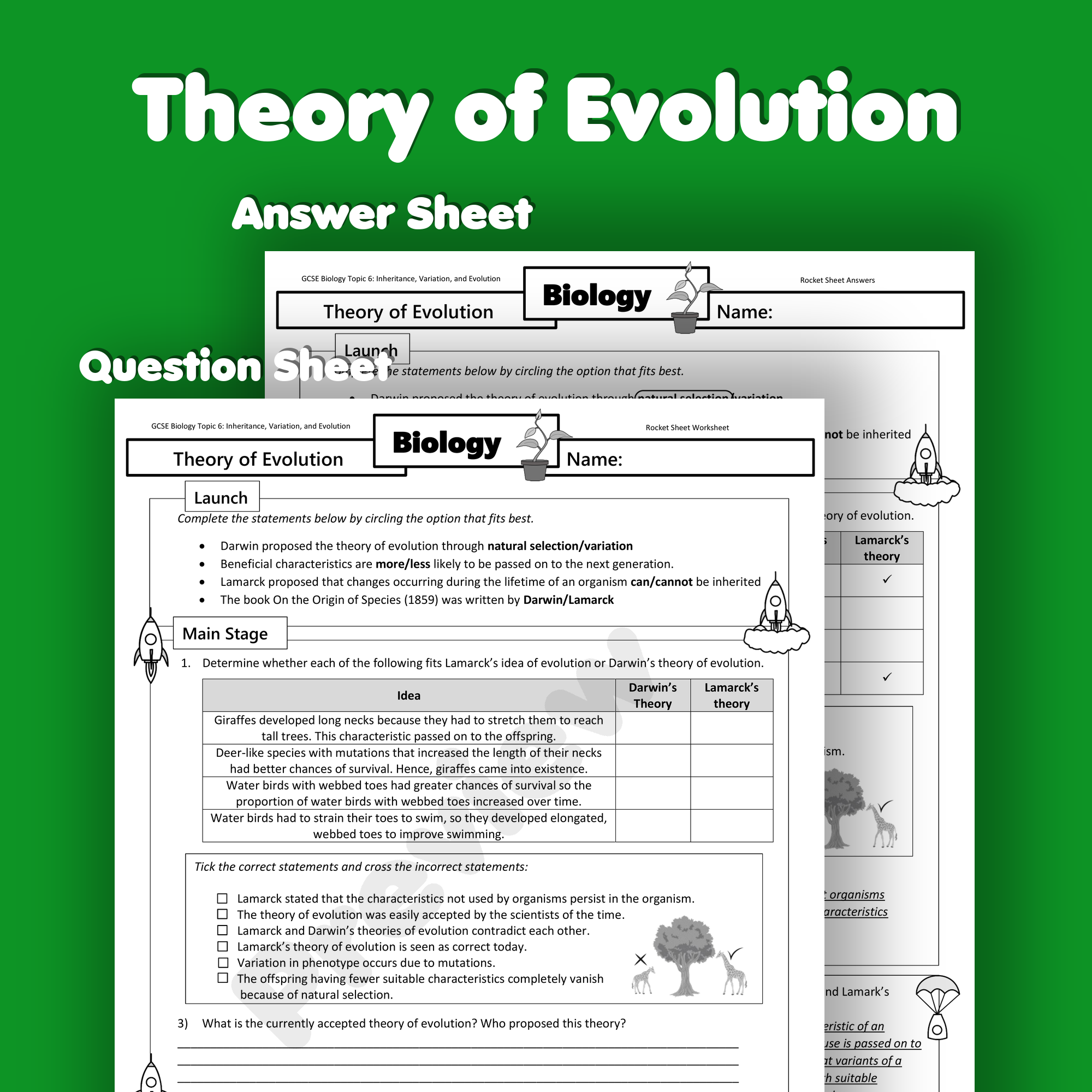 Theory of Evolution Home Learning Worksheet GCSE