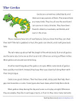 Reading Comprehension Worksheets for Grade 3