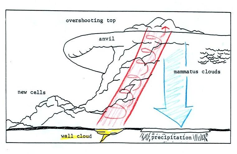 Tue., Nov. 20 notes