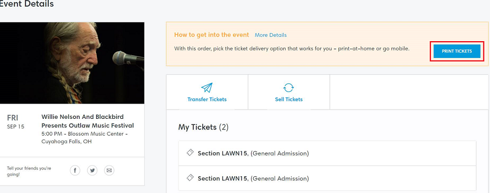 Empty blank concert ticket template with a line for separation ...