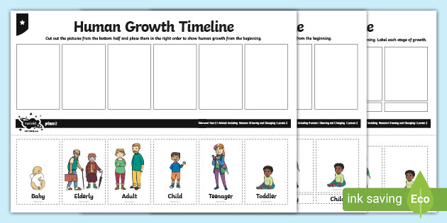 Human Growth Timeline Worksheet (Lehrer gemacht) - Twinkl