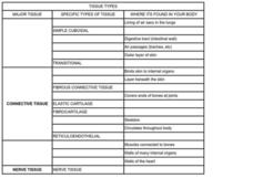 Tissue Types Worksheet for 9th - 12th Grade | Lesson Planet