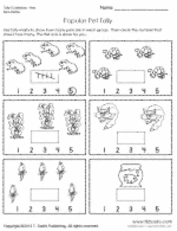 Number and Pre-Math Worksheets - TLS Books