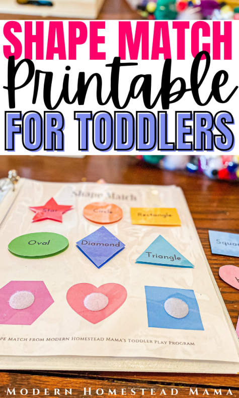 Shape Matching Worksheet for Toddlers - Modern Homestead Mama