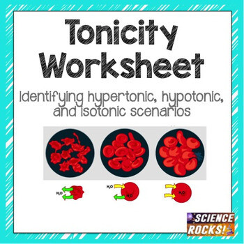 tonicity and osmosis worksheet answers