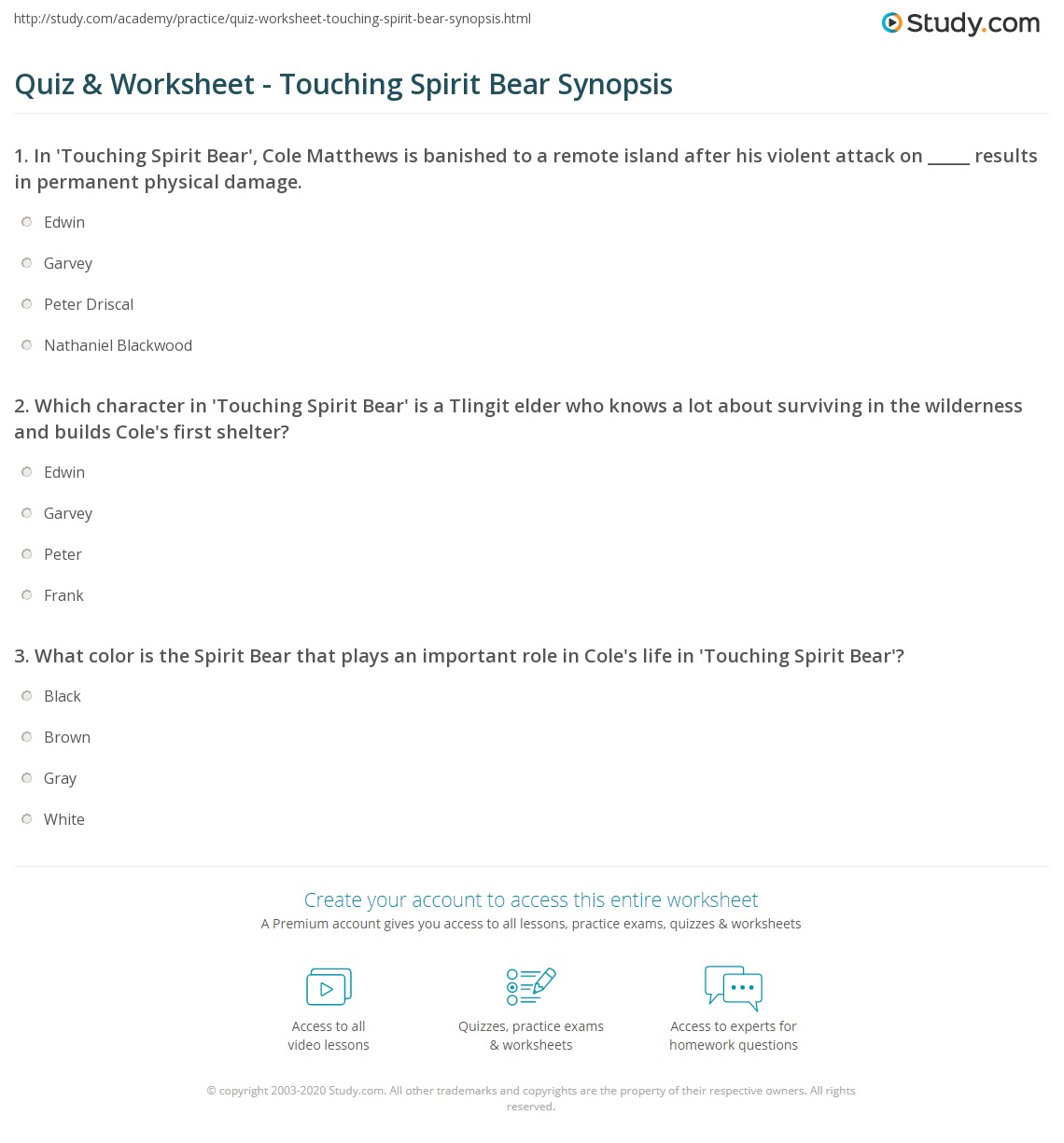touching spirit bear worksheet