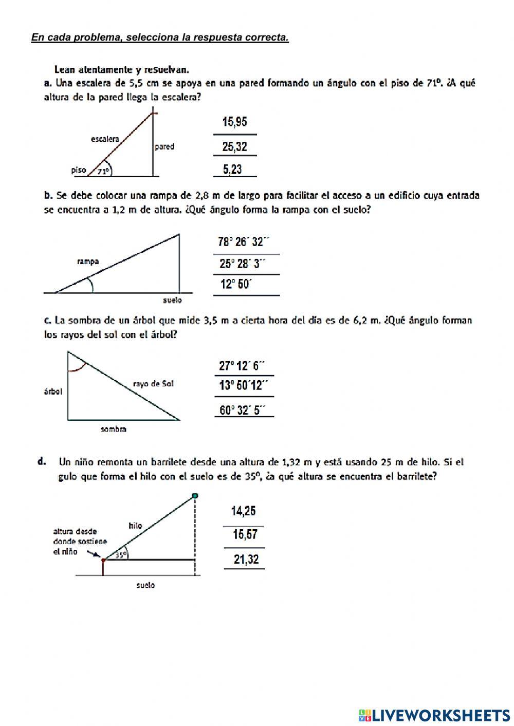 TPN°3 Razones trigonométricas worksheet  