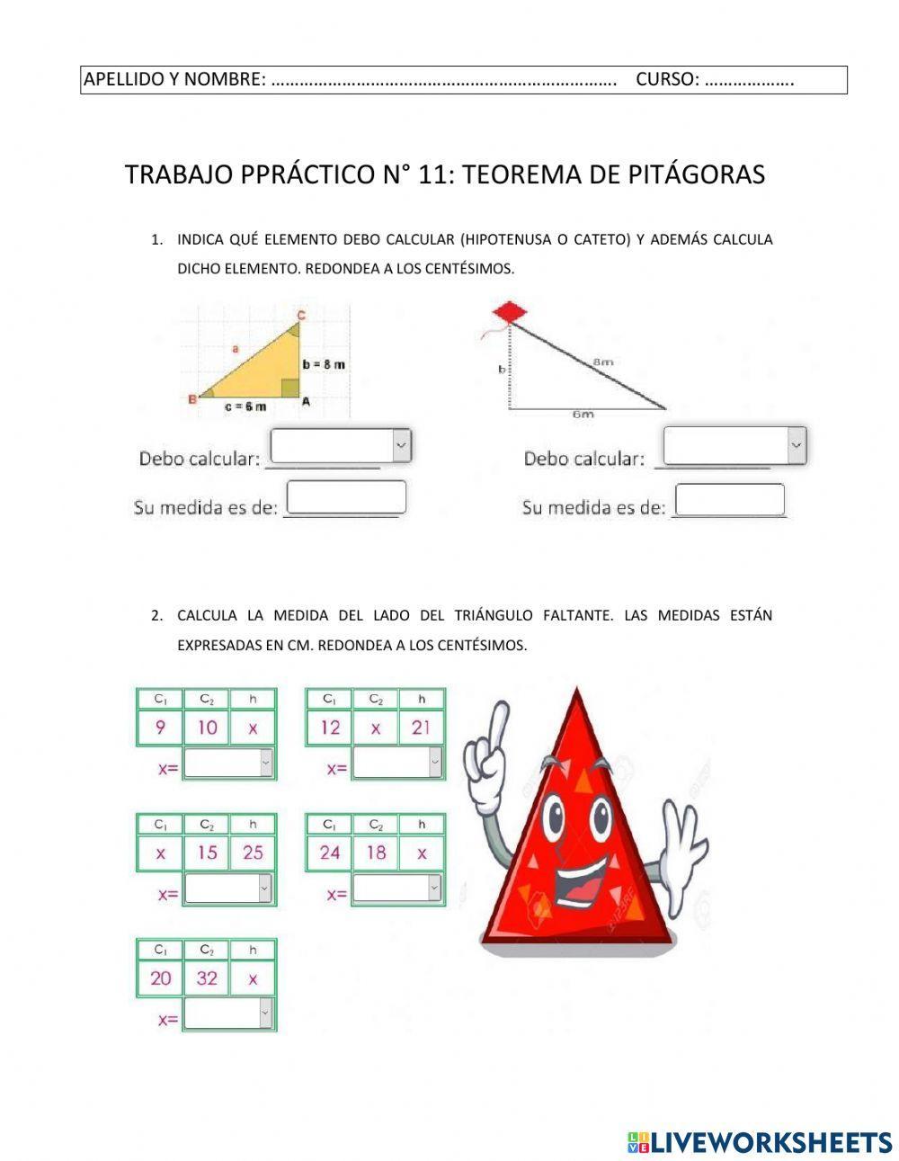 T P N° 11 TRIGONOMETRÍA worksheet  