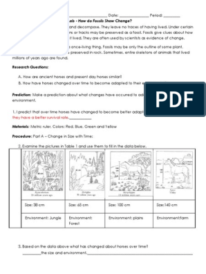 Fossils and Change in Horses Lab | PDF | Horses | Fossil